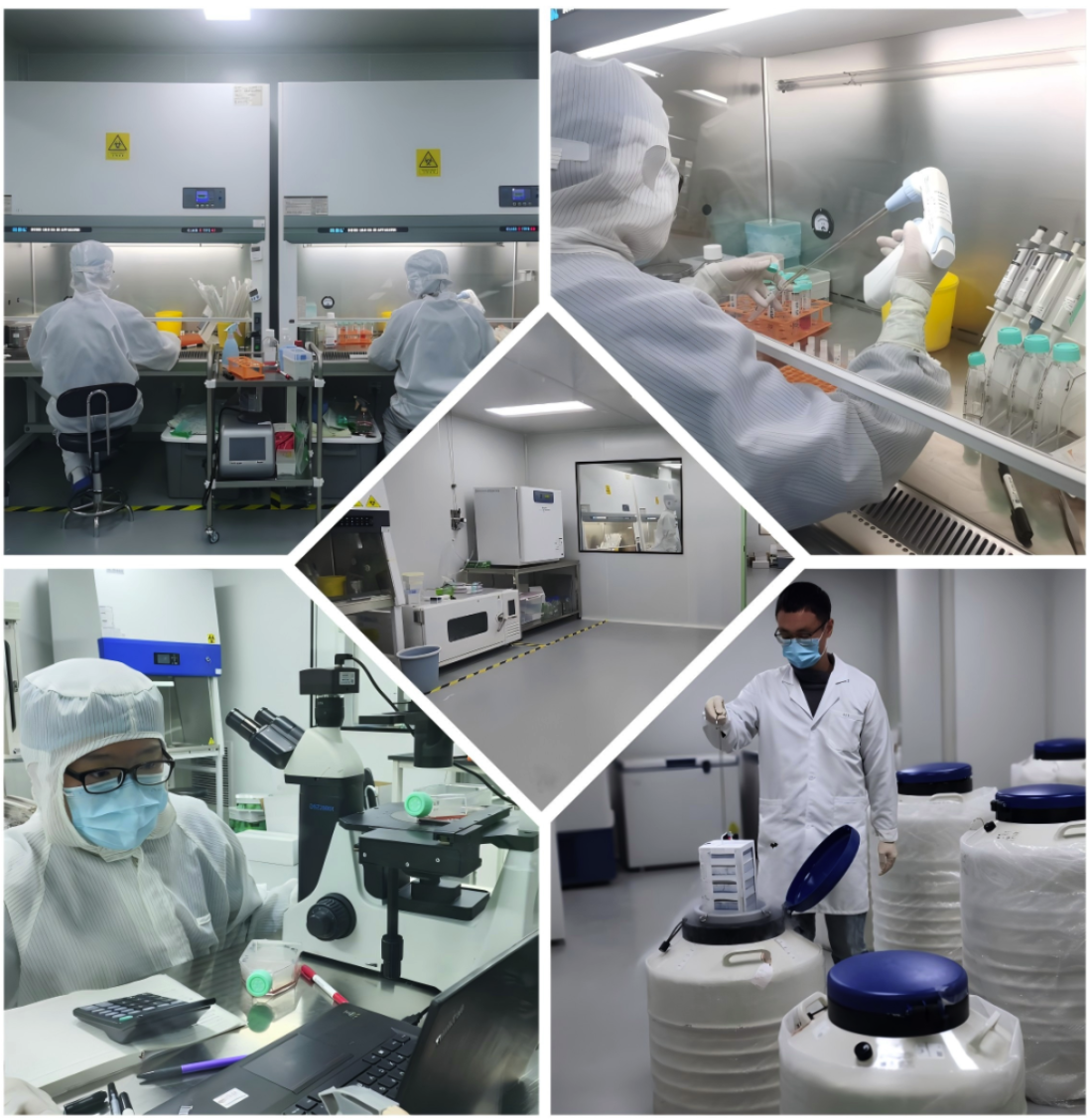 Laboratory Environment 3